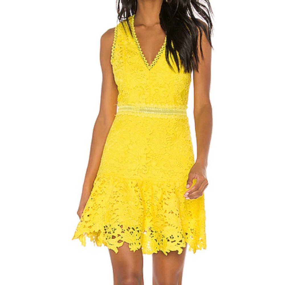Alice + Olivia Marleen Fit-&-Flare Dress